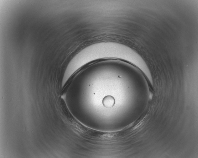 X0000060780176200511141427