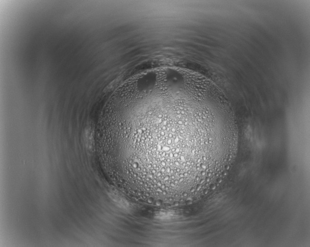 X0000060780177200511141427