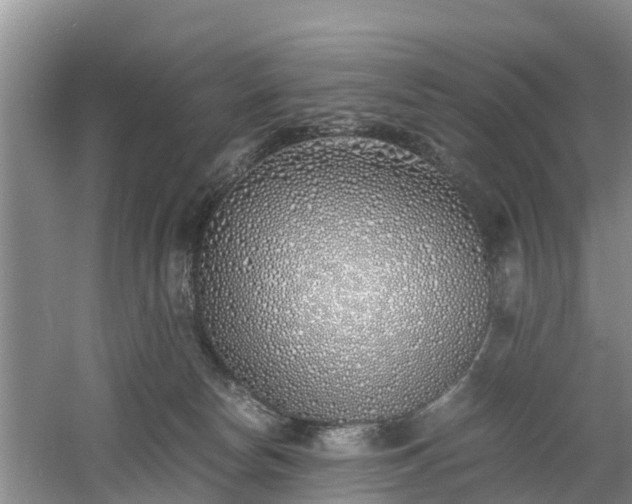 X0000060780178200511141427