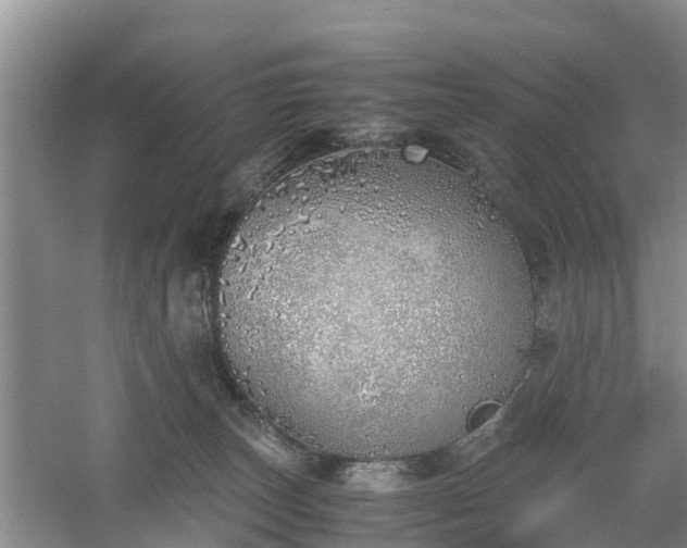 X0000060780179200511141427