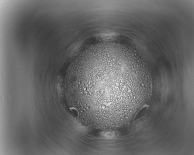 X0000060780181200511141427