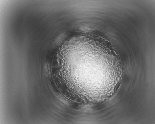 X0000060780182200511141427