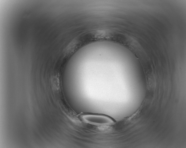 X0000060780183200511141427