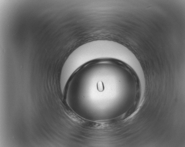 X0000060780186200511141427