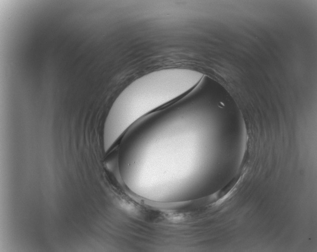 X0000060780187200511141427