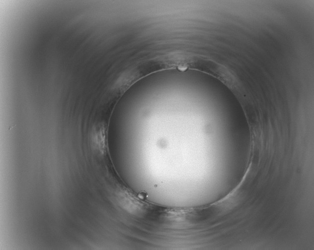 X0000060780190200511141427