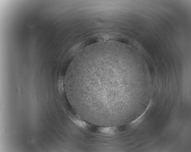 X0000060780191200511141427