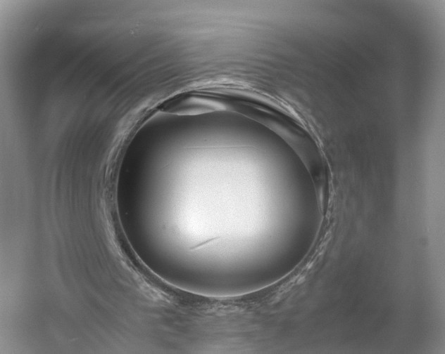 X0000060780193200511141426