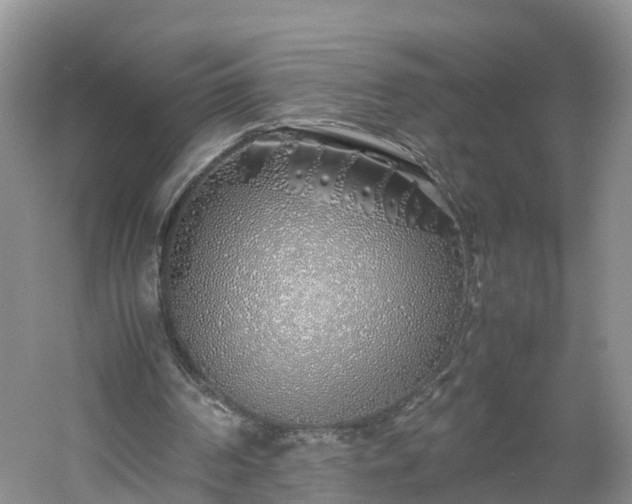 X0000060780194200511141426