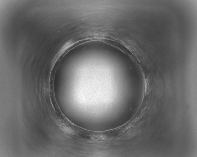 X0000060780195200511141426