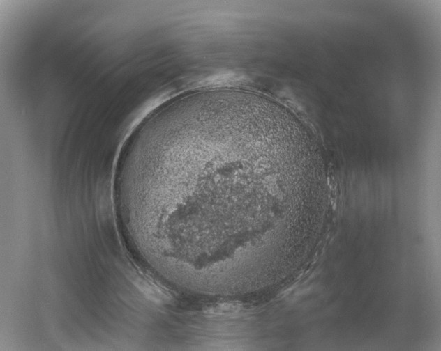 X0000060780196200511141426