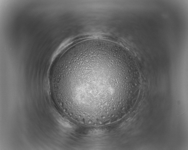 X0000060780198200511141426