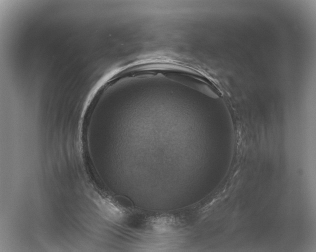 X0000060780200200511141426