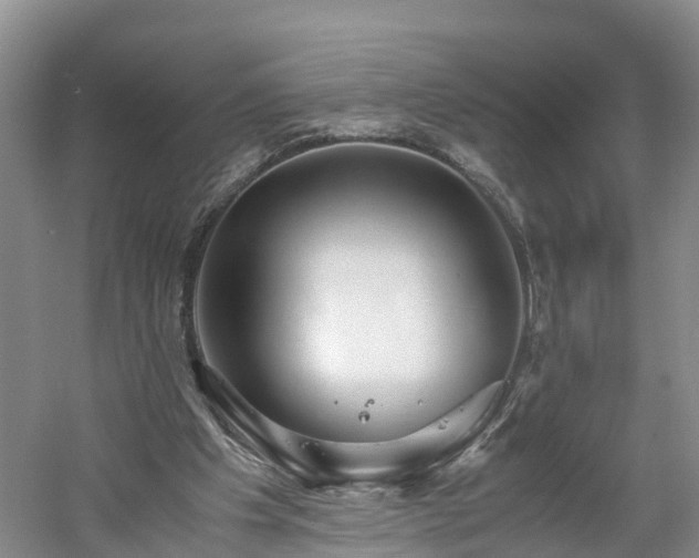 X0000060780201200511141426