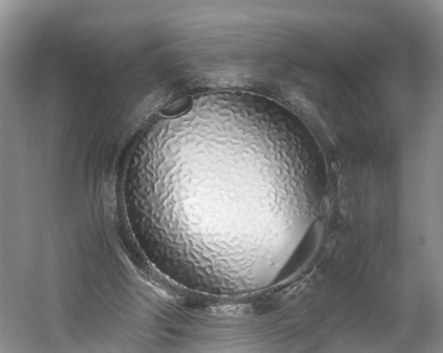 X0000060780202200511141426