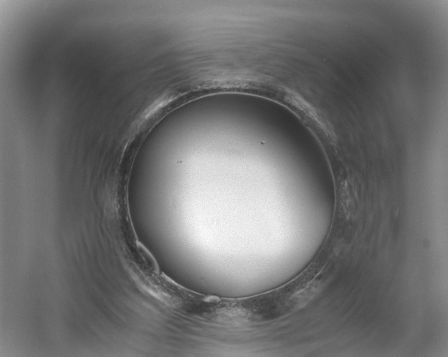 X0000060780203200511141426