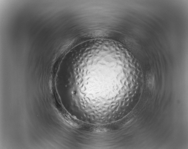 X0000060780206200511141426