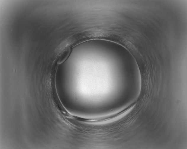 X0000060780207200511141426