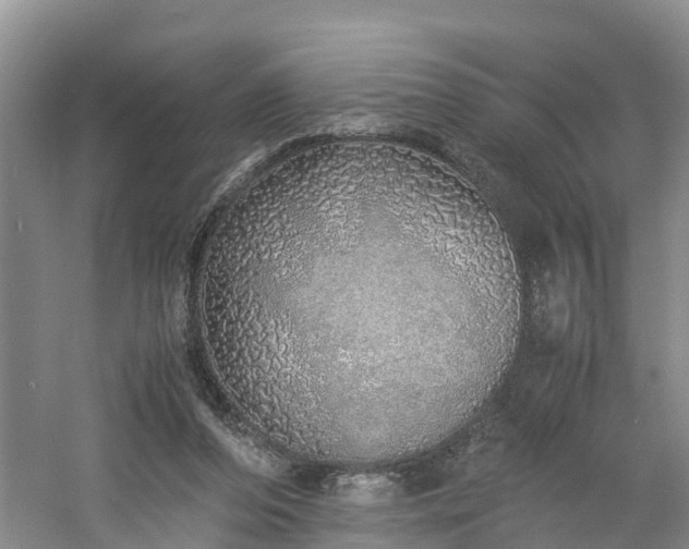 X0000060780208200511141426