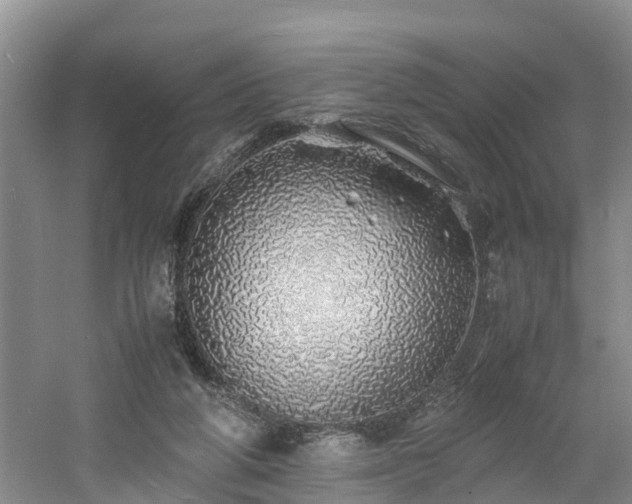 X0000060780210200511141426