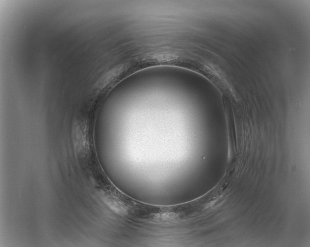 X0000060780212200511141426