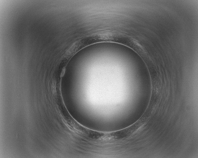 X0000060780213200511141426