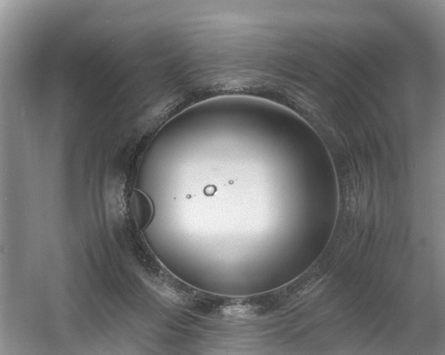 X0000060780216200511141426