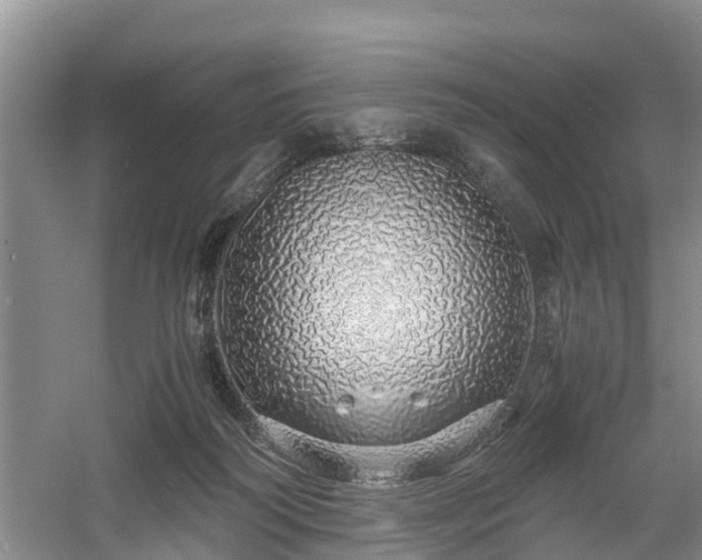 X0000060780218200511141426