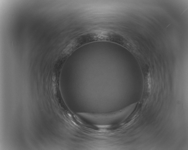 X0000060780223200511141426