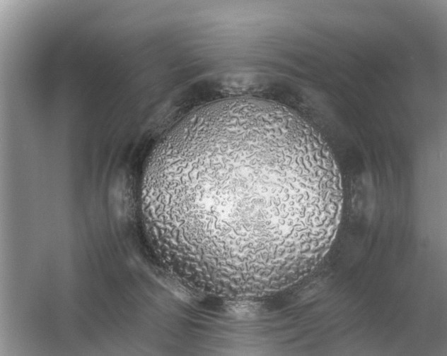 X0000060780226200511141425