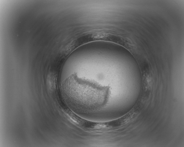 X0000060780227200511141425