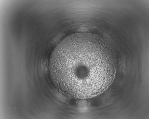 X0000060780230200511141425