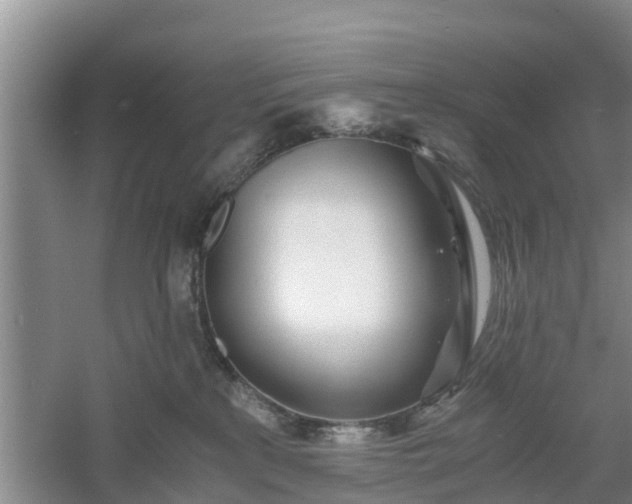 X0000060780233200511141425