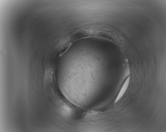 X0000060780235200511141425