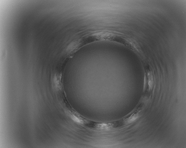 X0000060780239200511141425