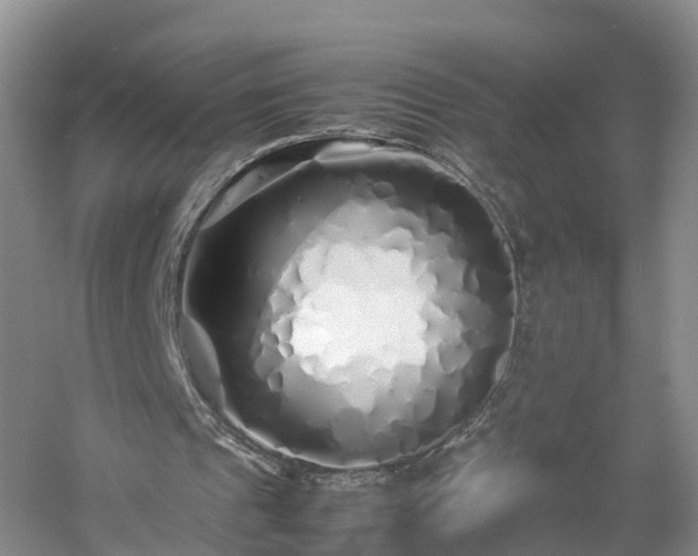 X0000060780241200511141424