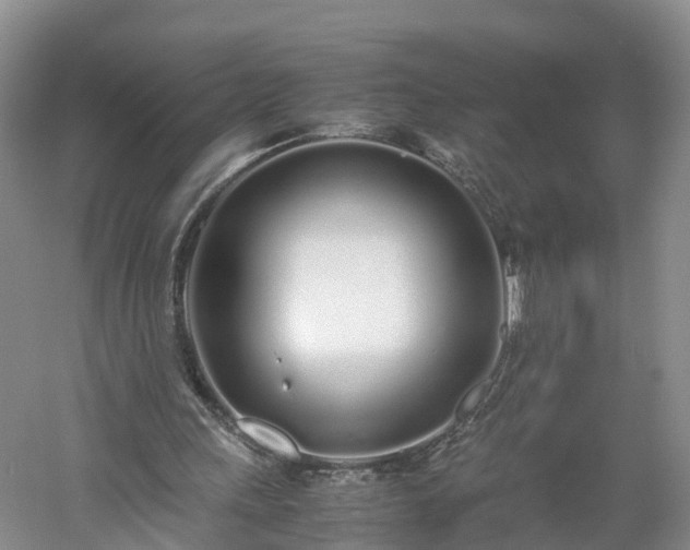 X0000060780243200511141424