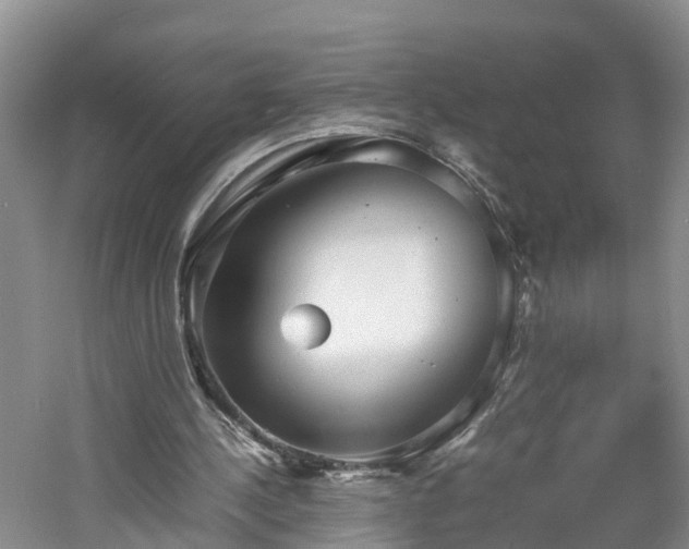 X0000060780244200511141424