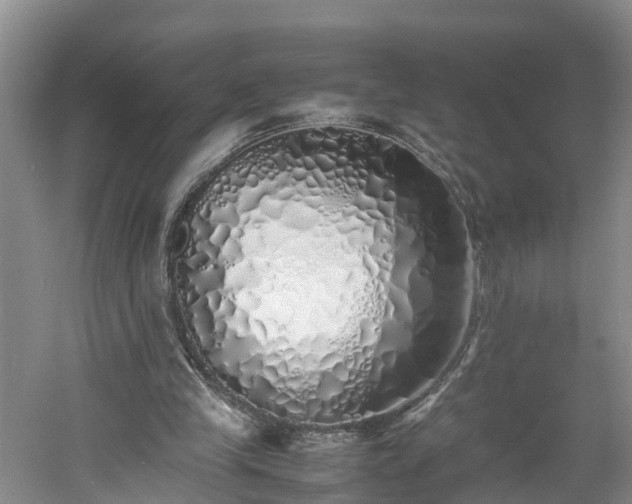 X0000060780245200511141424