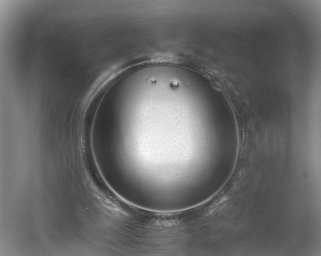 X0000060780247200511141424