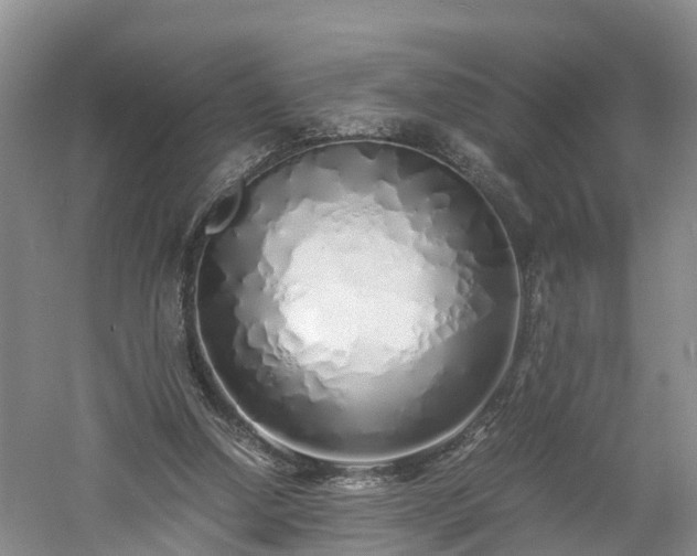 X0000060780250200511141425