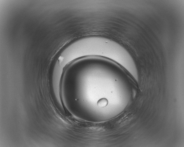 X0000060780251200511141425