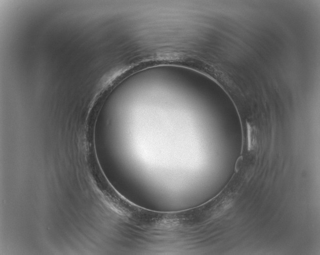 X0000060780252200511141425