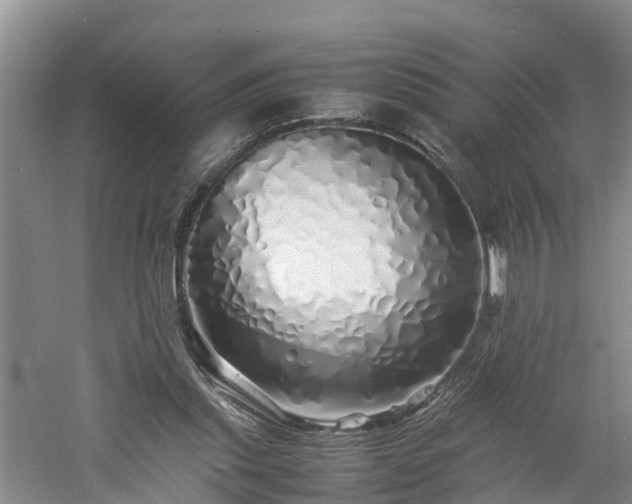 X0000060780253200511141425