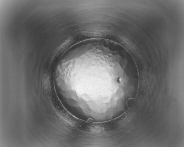 X0000060780258200511141425