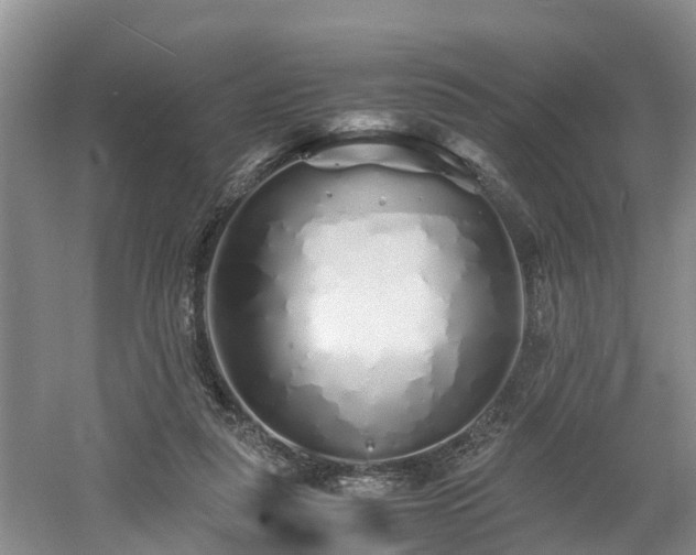 X0000060780259200511141425