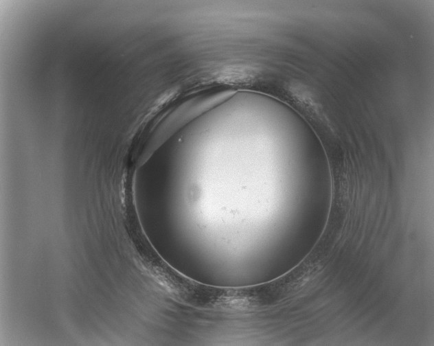 X0000060780260200511141425