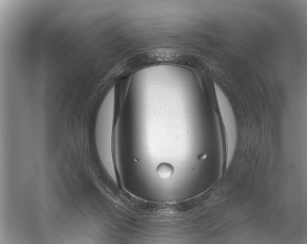 X0000060780262200511141425