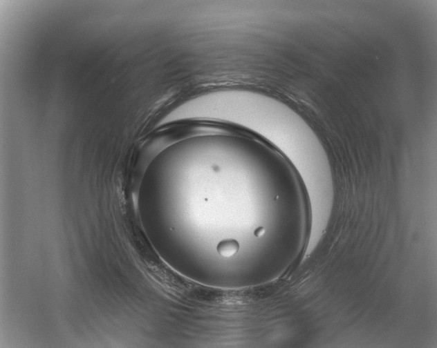 X0000060780264200511141425