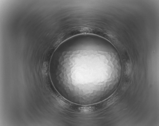 X0000060780273200511141425